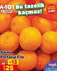 SIKMALIK PORTAKAL FİLE KG